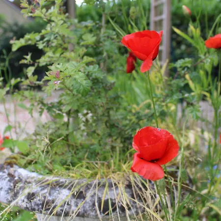Le Du Chene Rouvre Apartmán