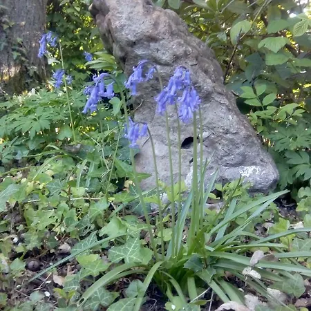 Le Du Chene Rouvre Apartmán Corbeil-Cerf