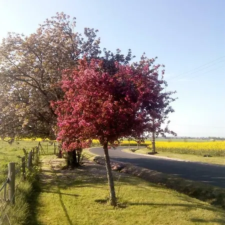 Le Du Chene Rouvre Corbeil-Cerf