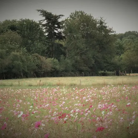 Apartmán Le Du Chene Rouvre