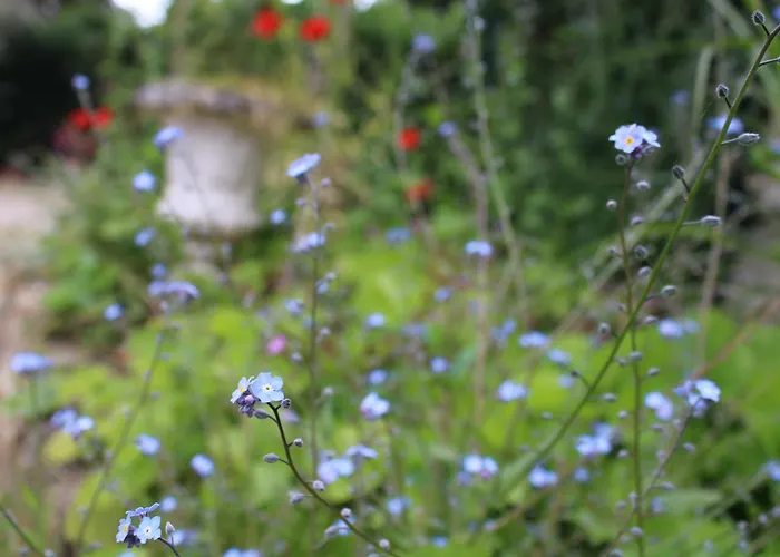Le Du Chene Rouvre Lägenhet Corbeil-Cerf