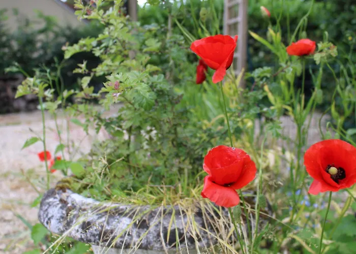 Le Du Chene Rouvre Lägenhet