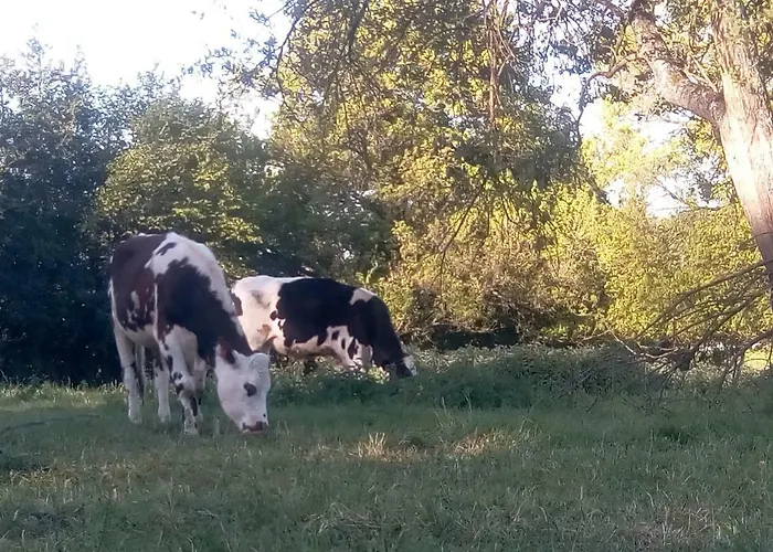 Le Du Chene Rouvre * Corbeil-Cerf