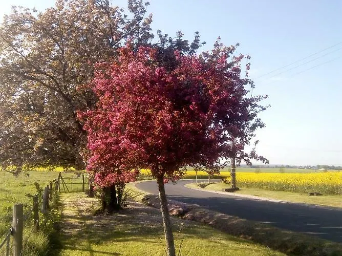 Le Du Chene Rouvre Corbeil-Cerf