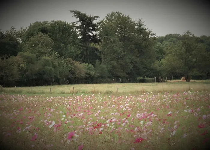 Lägenhet Le Du Chene Rouvre