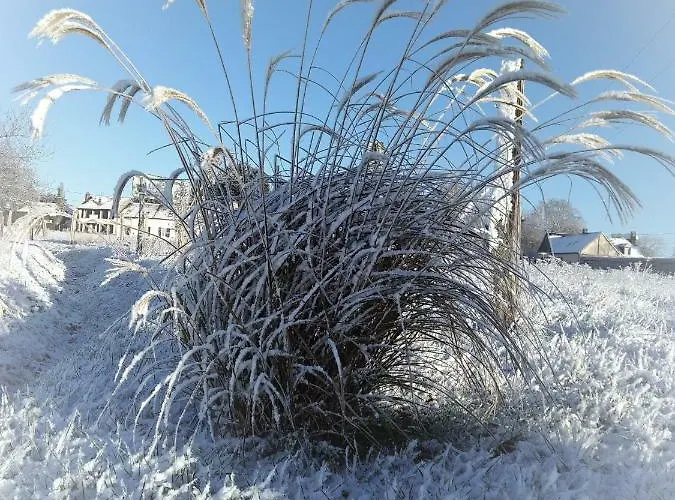Le Du Chene Rouvre Corbeil-Cerf