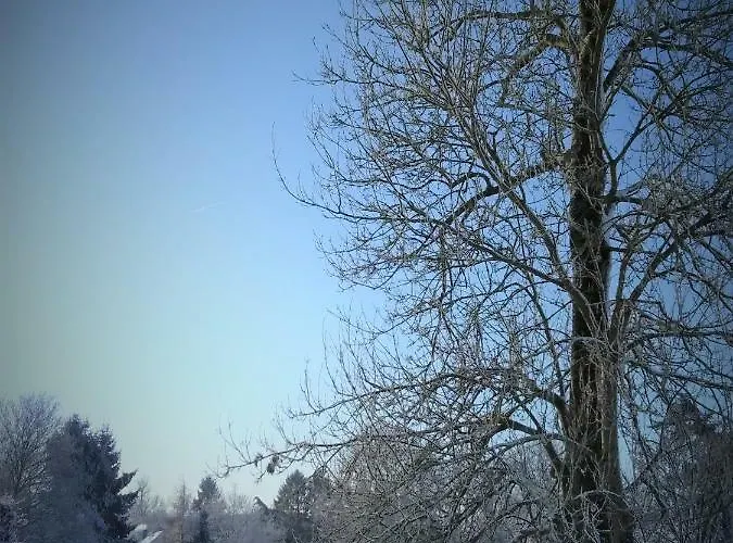 Lägenhet Le Du Chene Rouvre *